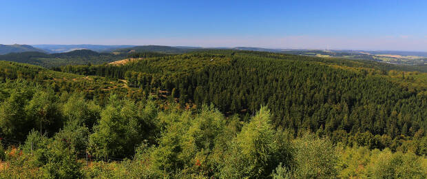 Blick über den Briloner Wald: Die Stadt im Sauerland ist „PEFC-Waldhauptstadt 2017“ – eine der aktuellen Aktionen des PEFC Deutschland zur Kommunikation des Zertifizierungssystems für nachhaltige Waldbewirtschaftung. (Bild: Stadt Brilon)