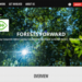 Website des WWF: verstärkte Zusammenarbeit mit Sylvamo im Rahmen des WWF-Programms „Forests Forward“ (Bild: Screenshot Website)