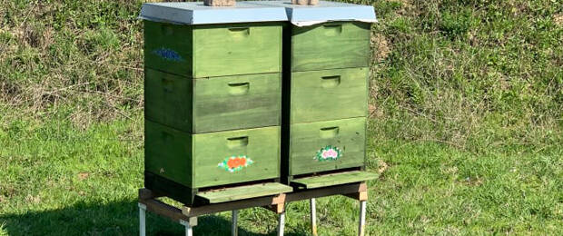 Eine der Aktionen rund um den „Earth Month“ bei Lyreco Deutschland: die Aufstellung von Bienenstöcken am Hauptsitz des Unternehmens in Bantorf. (Bild: Lyreco Deutschland)