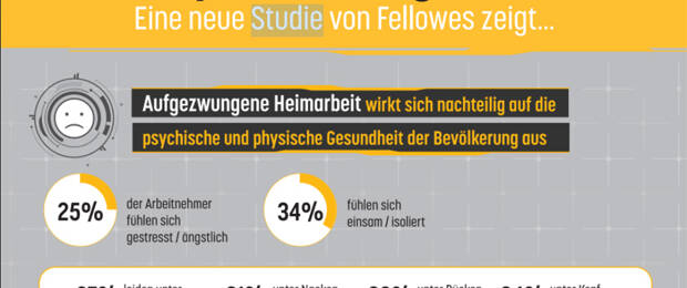 Zur gesundheitlichen Belastung im Home-Office hat Fellowes mehr als 1000 Arbeitnehmer in Deutschland befragt. (Bild: Fellowes)