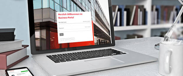 Screenshot des Hama-Business-Portals (Bild: Hama)